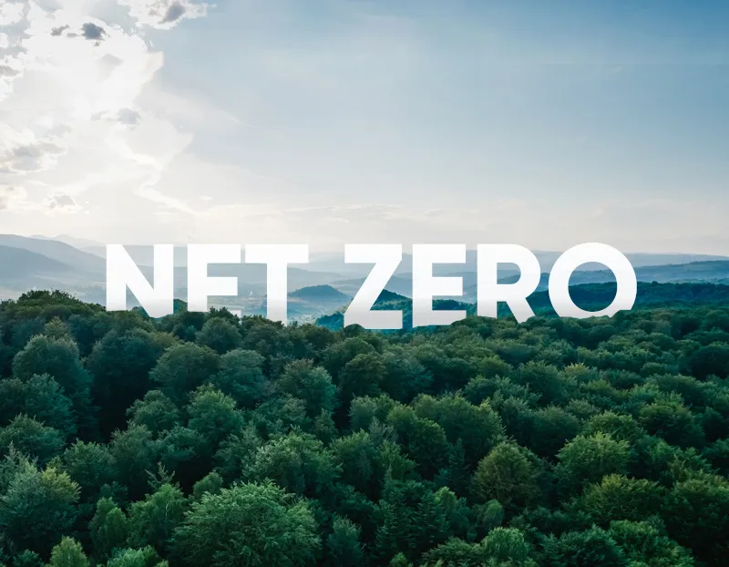 Image of green trees with the words 'net zero' sat above them
